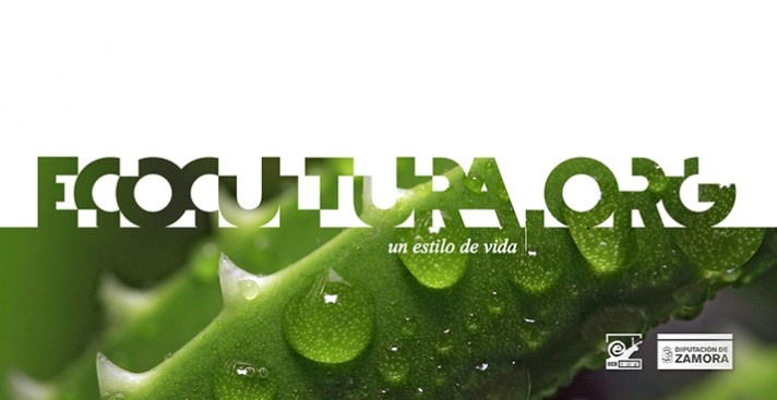 15º Ecocultura 