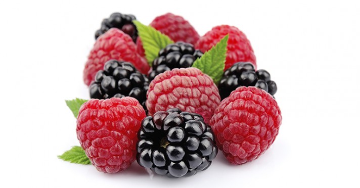 Simposio sobre berries ´Fresh&Life´ (Fruit Attraction)