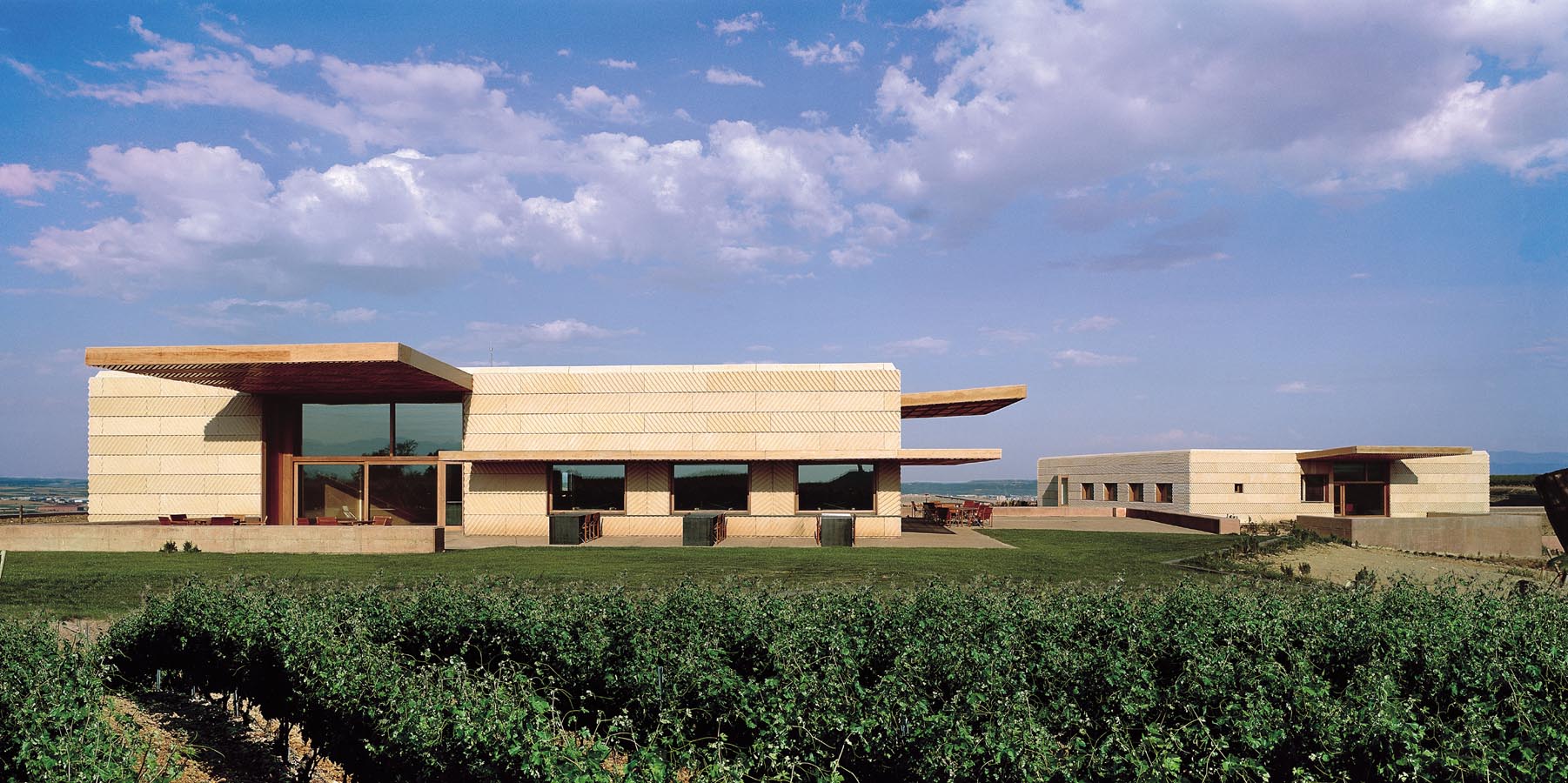 Pernord Ricard Bodegas, pionera en medir la huella medioambiental del vino