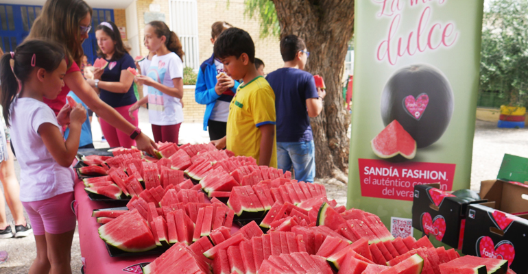 AGF-sandia-fashion