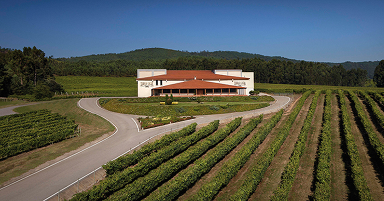 Bodegas-Terras_Gauda_Marcas