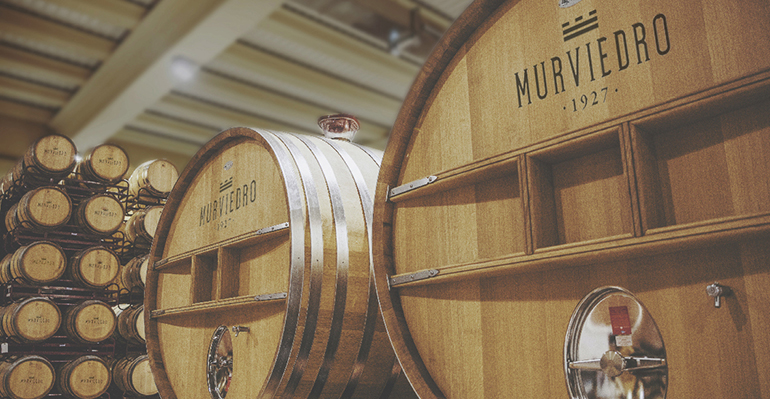 Bodegas Murviedro invita a descubrir la cultura del vino a través de dos experiencias en la comarca de Utiel-Requena