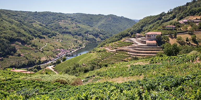 bodega-via-romana-galicia-retailactual