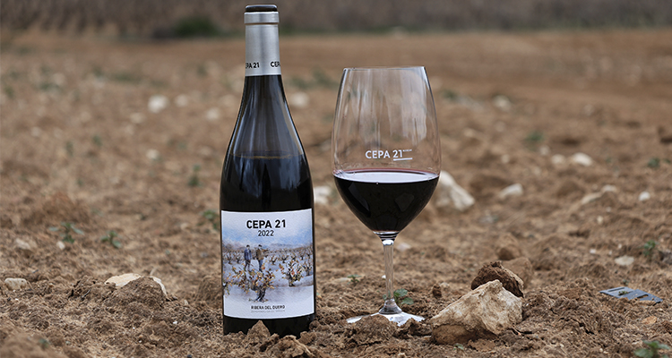 Cepa-21-2022
