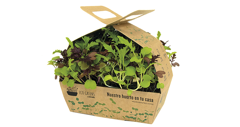 Eco Greens: microbrotes distribuidos en mini huertos, que mantienen el máximo de frescura y propiedades nutricionales