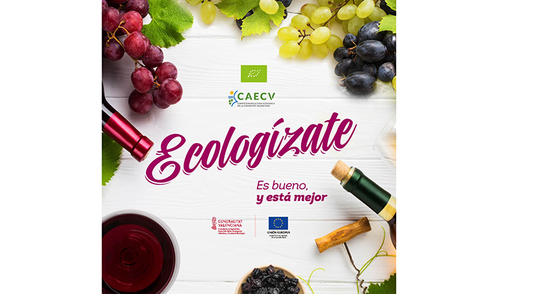 concursos-vinos-ecologicos-valencia