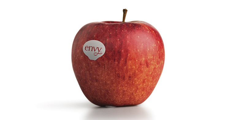 Arranca la campaña de la manzana Envy con muy buenas perspectivas