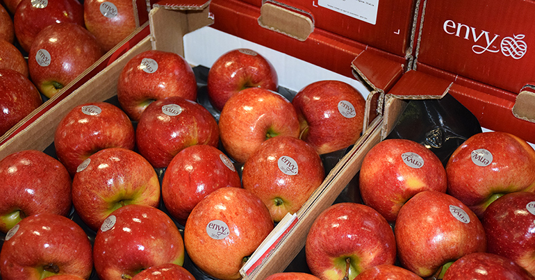 Envy, la manzana roja, crujiente y dulce, vuelve al lineal en España