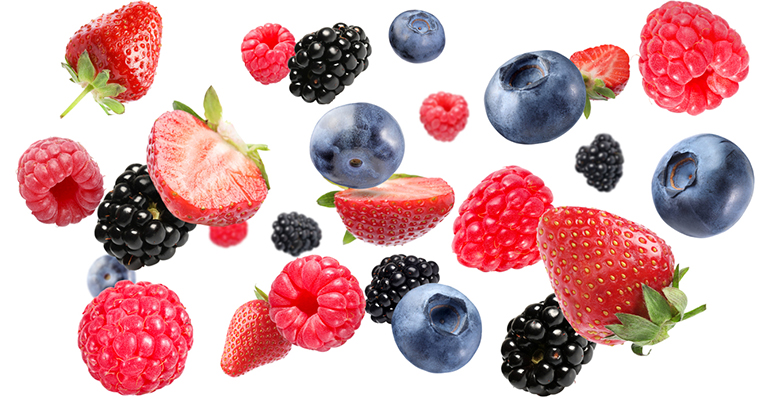 La percepción sensorial en la conducta alimentaria será tratarda en el V Foro de NutriciON Sensata