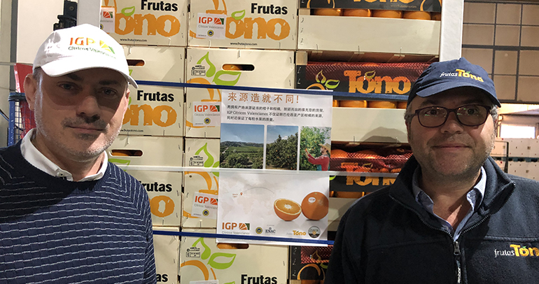 IGP-citricos-valencia-frutas-tono