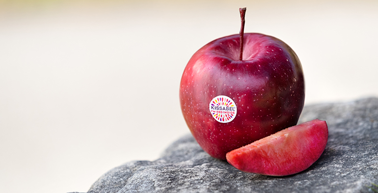 Éxito de campaña para las manzanas Kissabel por su innovación varietal