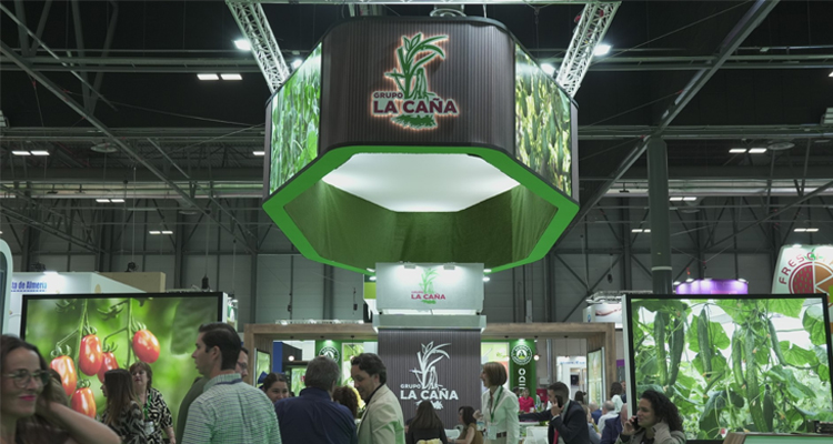 Grupo La Caña invertirá 8 millones de euros para aumentar su producción un 7%