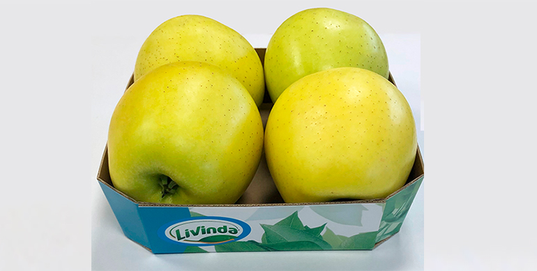 livinda-formato-barqueta-manzanas