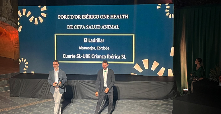 Premios Porc D´Or - Retail Actual