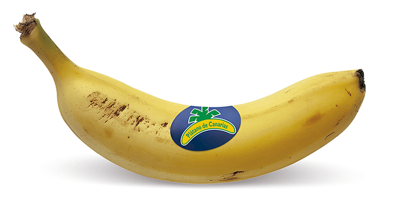 platano-canarias-lineal-IGP