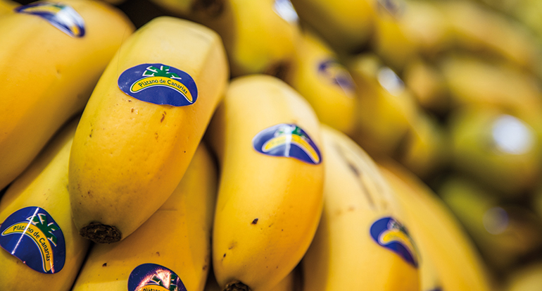 Plátano de Canarias IGP