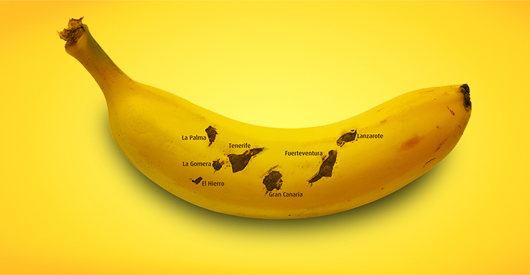 platano-canarias-origen-productos