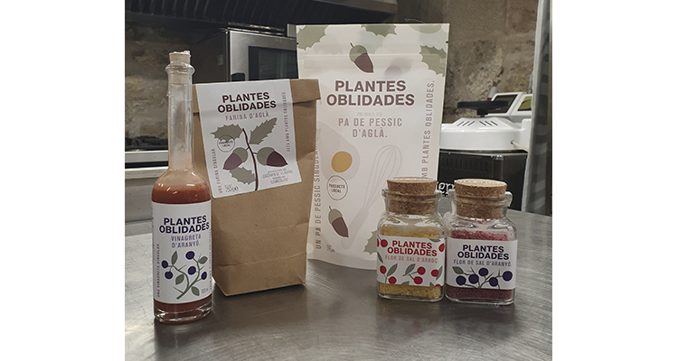 Productos forestales innovadores: 30 nuevos alimentos llegarán al mercado gracias al proyecto Plantas Olvidadas