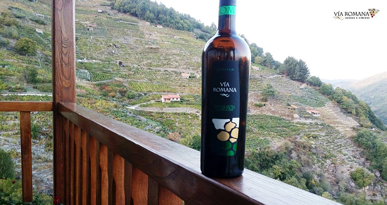 romana-godello-2018-vinos-extremos