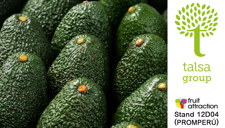 Talsa y Onesta Europe refuerzan su oferta al retail con aguacate de maduración controlada y uva premium de Perú