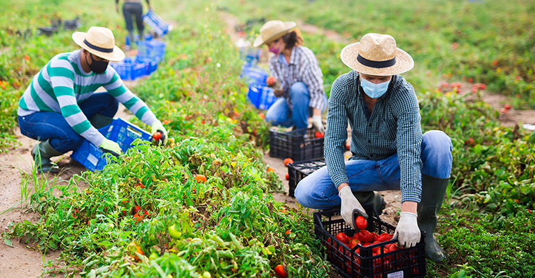 Medidas mejora agricultores