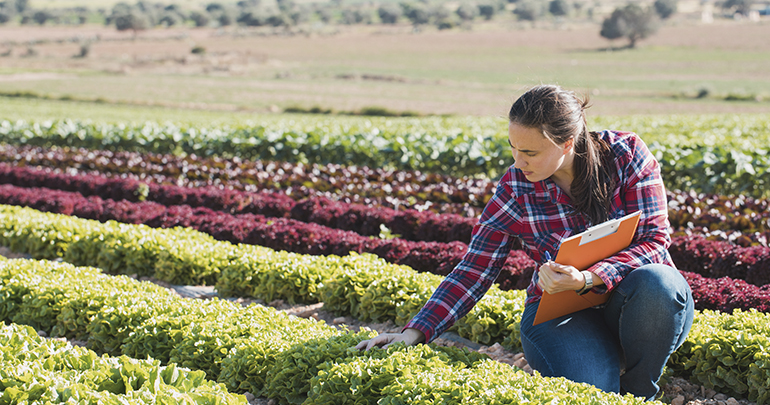 agricultura