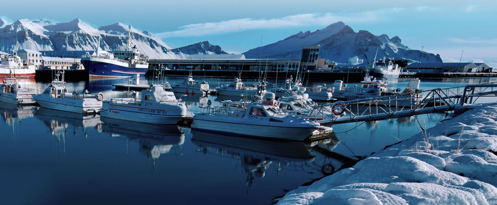 Bacalao de Islandia saca su potencial gastronómico en Madrid