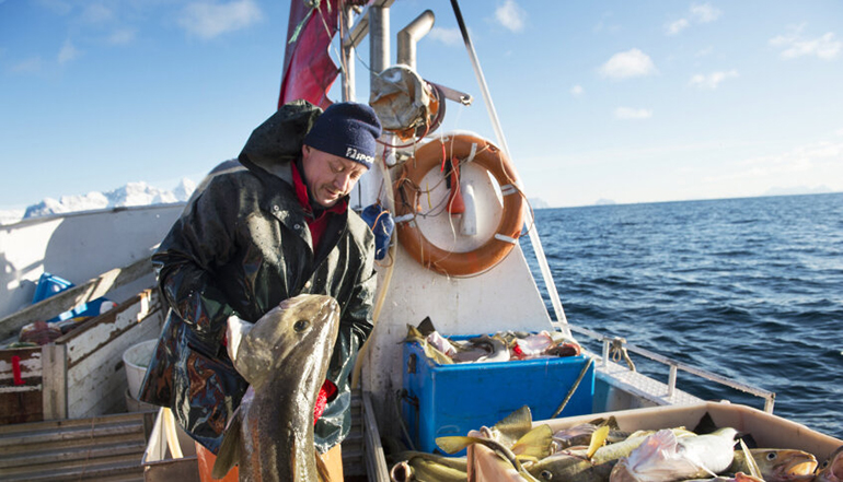 Retail Actual se embarca en una experiencia única en Noruega para conocer el bacalao fresco de acuicultura