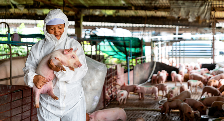 Bienestar animal: el Ministerio de Agricultura, Pesca y Alimentación inicia la consulta pública de la orden por la que se crea la mesa de coordinación