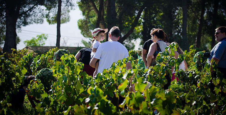 Bodegas Luzón propone planes de enoturismo con su 