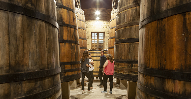 bodega-murua-masaveu-visitas