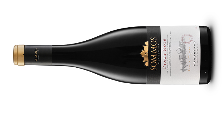 Sommos Colección Pinot Noir, un vino delicado, ligero y profundamente seductor, DO Somontano