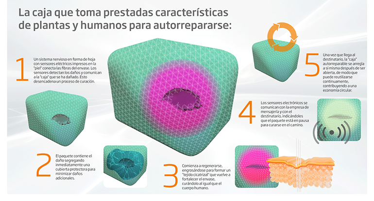 Ds Smith reflexiona sobre el futuro de la caja de cartón