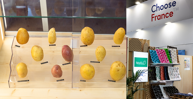 patata francesa Fruit Attraction