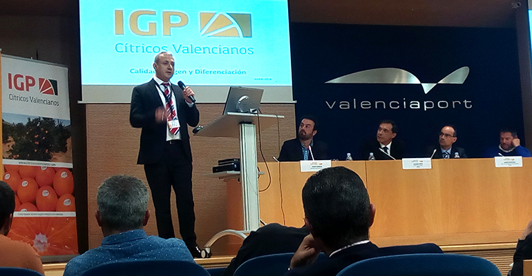 citricos-valencianos-igp