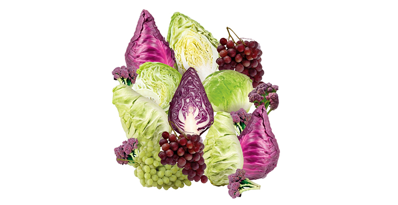 frutas y verduras Coato
