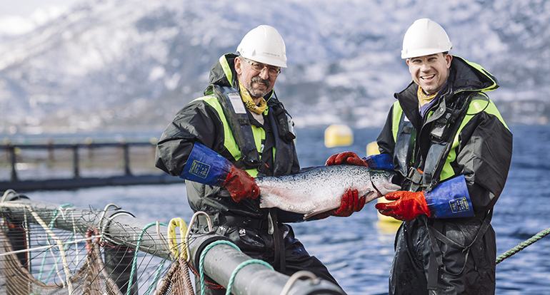 consejor-mar-noruega-dia-alimentacion-reconocimiento