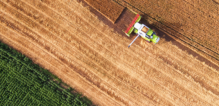 Las cooperativas tiran de la producción de alimentos y la vertebración social del medio rural