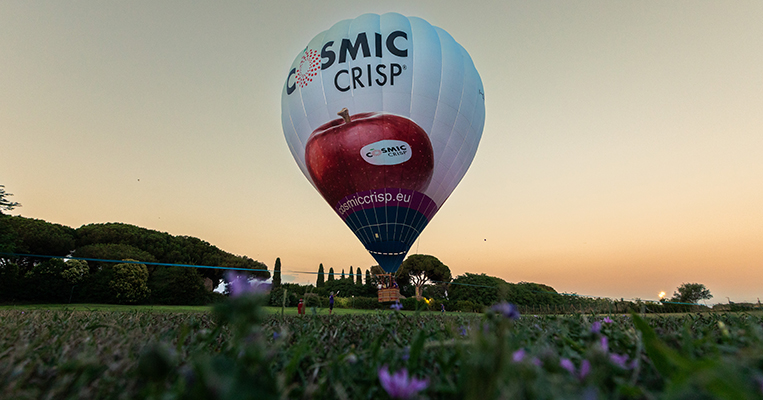 cosmic crisp manzanas