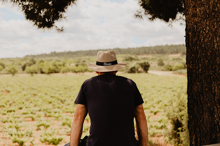 Coviñas es reconocida como la Mejor Bodega Cooperativa del Mundo por la DWM Wine Trophy