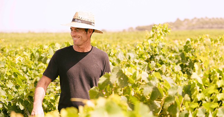 Coviñas impulsa la competitividad del viñedo comarcal gestionando más de 1,1 millones de euros en ayudas públicas