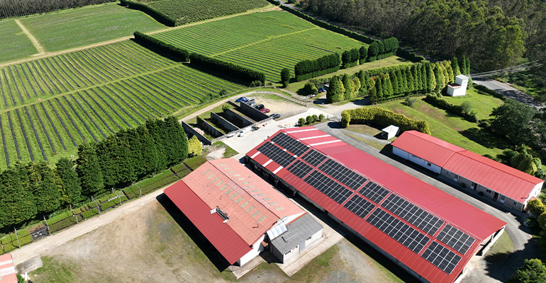 La plataforma global para monetizar la descarbonización del sector agrícola