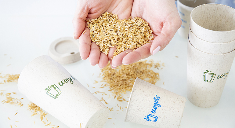 Vaos reciclables y ecológicos a base de protéina de arroz