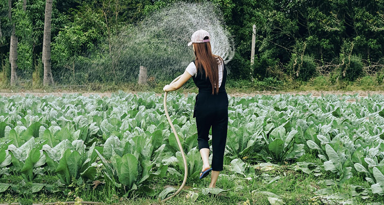 eit-foods-programa-emprendimiento.mujer-agricultura