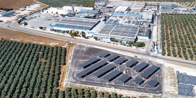 Agrosevilla compra Rioverde en nsu expansión en el mercado de encurtidos 