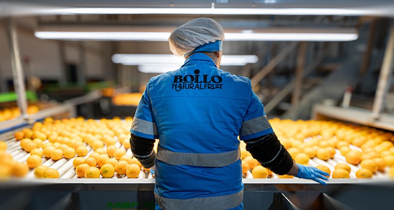 Bollo Natural Fruits