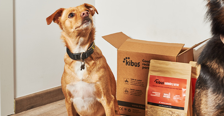 el-papel-del-adn-canino-Retailactual