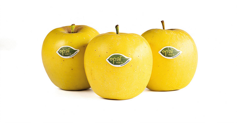 manzana amarilla Opal Nufri