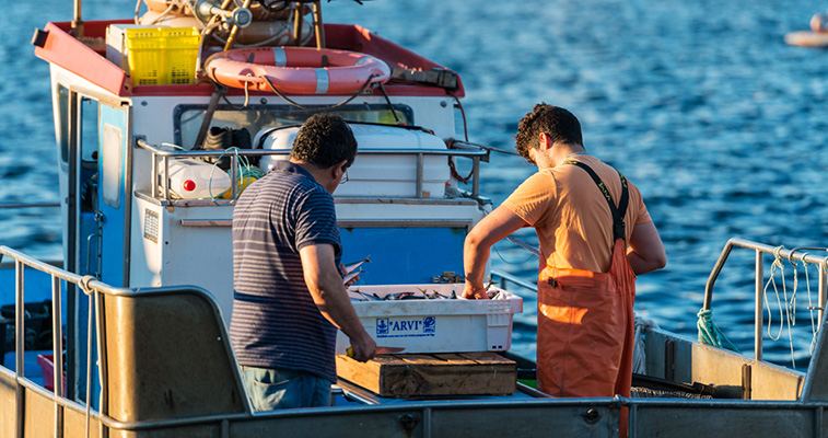 pesca sostenible sello MSC