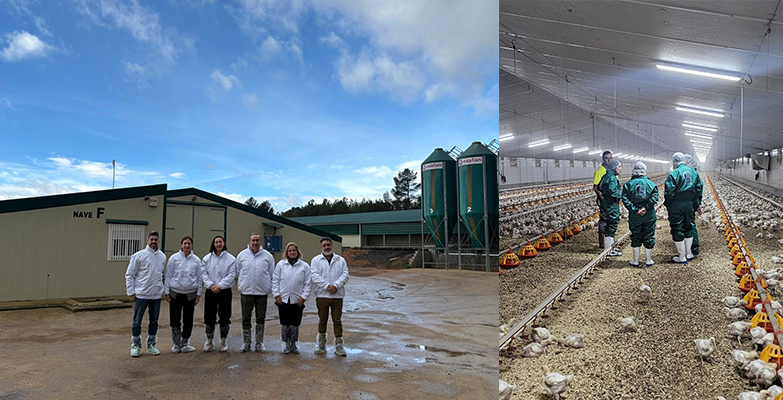 producción avícola Valencia